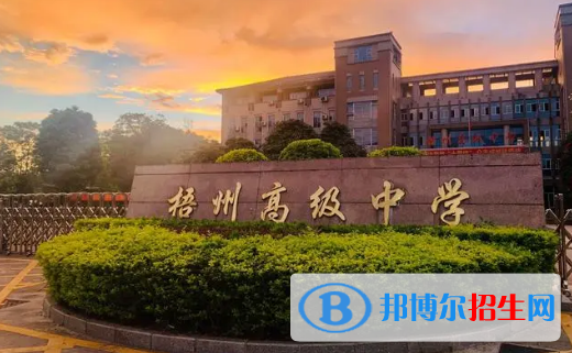 梧州高中学校升学排行2022（附高考成绩）-2023参考