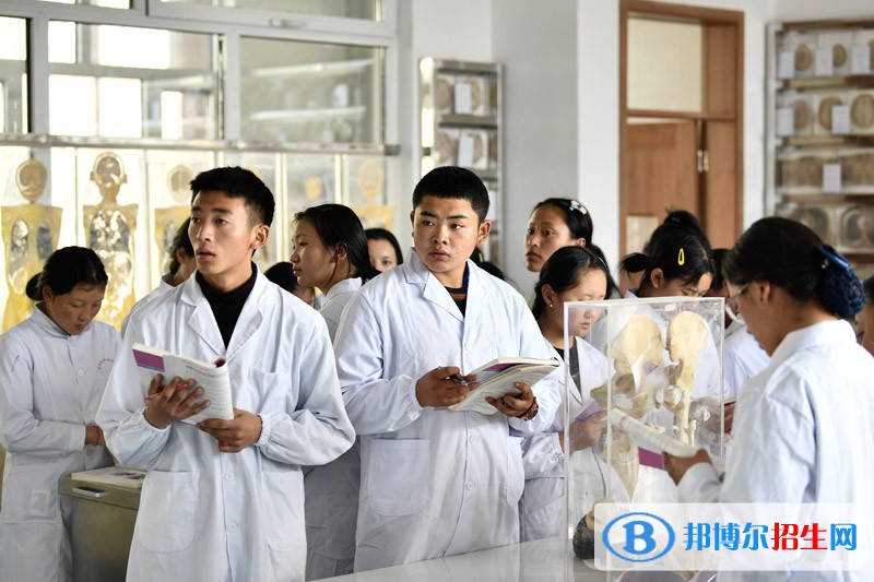 兰州2023年中专卫校专业有哪些