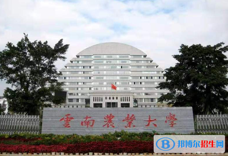 2023云南理科425分左右能上什么好大学