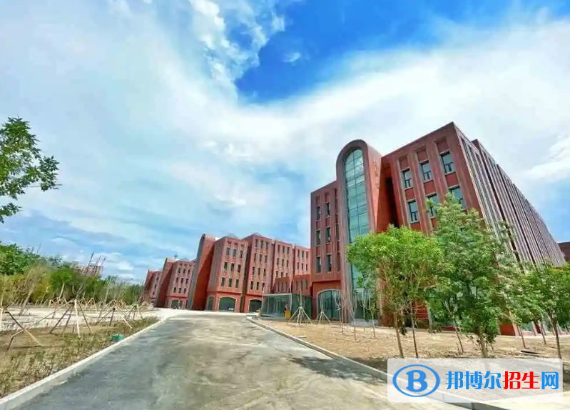 2023新疆理科205分左右能上什么好大学（本省大学+外省大学）