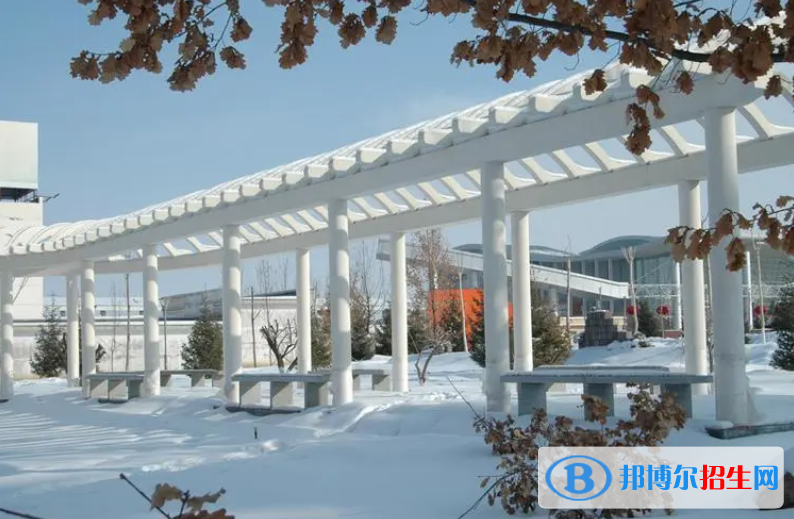 2023新疆理科200分左右能上什么好大学（本省大学+外省大学）