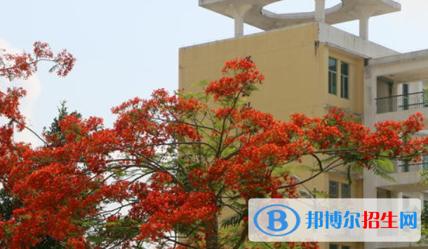 定安中学2023年排名 