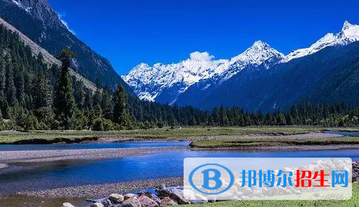 林芝中考物理总分(满分）是多少（附林芝物理中考成绩查询入口）
