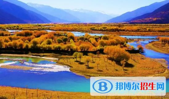 林芝中考化学总分(满分）是多少（附林芝化学中考成绩查询入口）