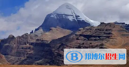 阿里地区中考生物总分(满分)是多少(附阿里生物中考成绩查询入口)