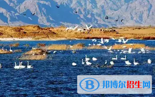巴彦淖尔中考英语总分(满分）是多少（附巴彦淖尔中考成绩查询入口）