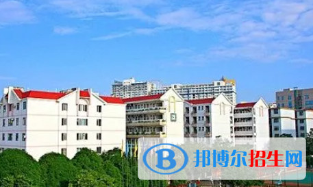 广西2023年读计算机学校好还是中专学校好