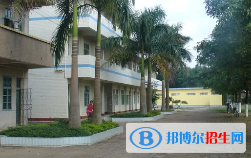 广西2023年现在计算机学校学啥好