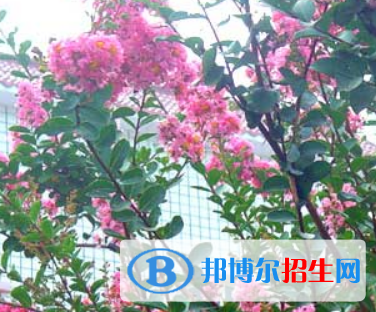 河南2023年中职卫校有哪些