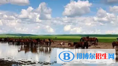 锡林郭勒中考生物总分(满分)是多少(附锡林郭勒中考成绩查询入口)