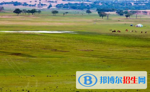 锡林郭勒中考道德与法治巴总分(满分）是多少（附锡林郭勒中考成绩查询入口）