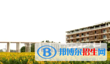 广西2023年哪个计算机学校好点