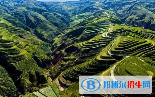 固原市中考英语总分(满分）是多少？（附固原中考成绩查询入口）