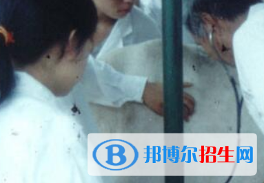 河南2023年中等卫校哪个专业好