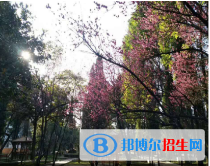 贵州2023铁路学校有哪些专业最好