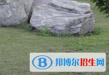 河南2023年哪所职业技术卫校好