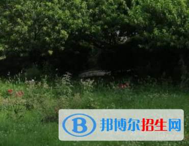 河南2023年中专卫校哪家好