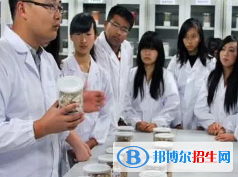 河南2023年中职卫校学什么专业好