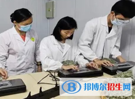 河南2023年中职卫校学什么专业好