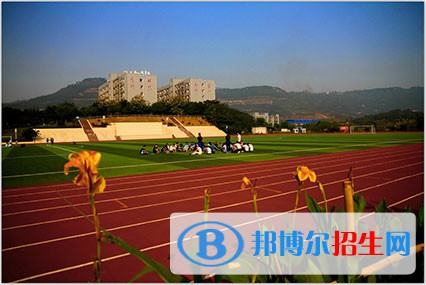 四川2023年有哪些计算机学校是公办的
