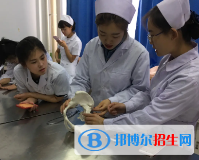 河南2023年上卫校学什么专业好