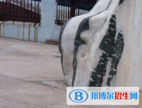 河南2023年上什么卫校好