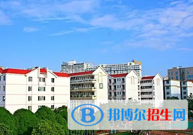 广西2023年初中生有哪些计算机学校选