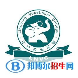 辽宁职业学院是大专还是中专(辽宁职业学院)