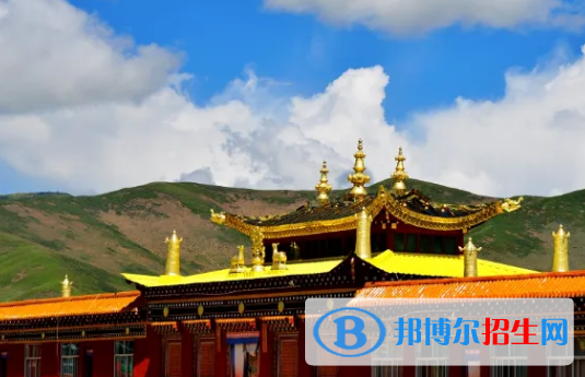 果洛州中考生物总分(满分）是多少（附果洛州中考成绩查询入口）