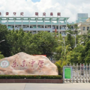 乐东中学