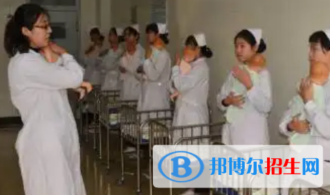 河南2023年卫校里都有什么专业