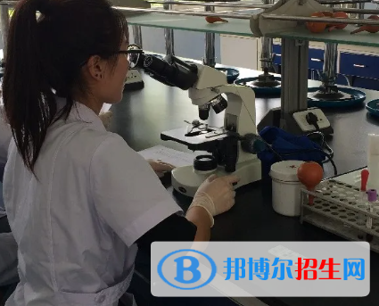 河南2023年一般卫校有什么专业