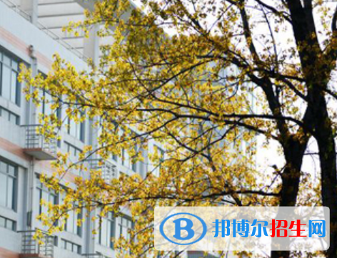 河南2023年都有什么卫校