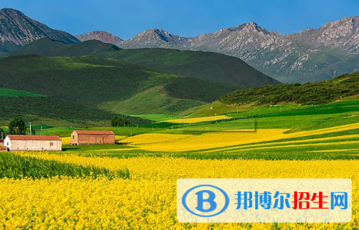 海北州中考道德与法治总分(满分）是多少（附海北州中考成绩查询入口）