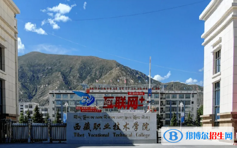 2023青海文科230分左右能上什么好大学（本省大学+外省大学）
