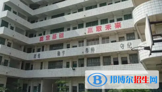 广西2023年读计算机学校学什么专业好