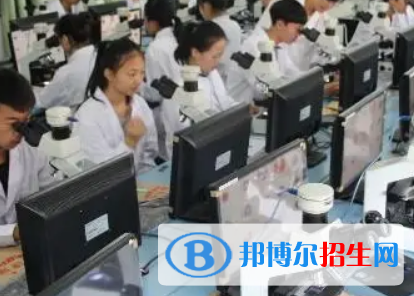 河南2023年现在卫校有什么专业
