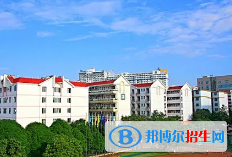 广西2023年计算机学校有什么专业适合男生