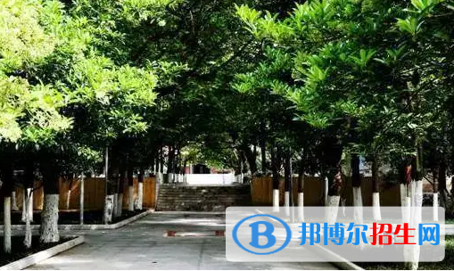 安顺市中考化学总分(满分)是多少(附安顺市中考成绩查询入口)