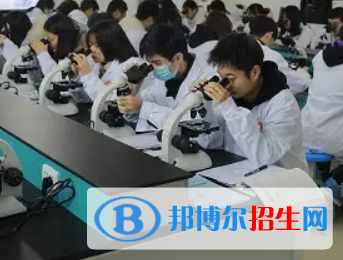 河南2023年卫校专业都有什么