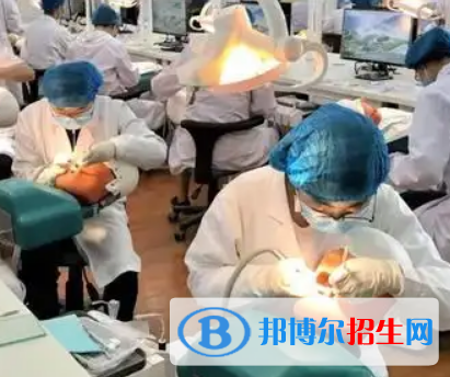河南2023年职业卫校有什么专业