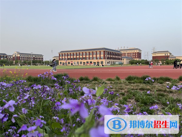 石家庄2023年春季招生的计算机学校
