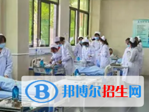 河南2023年现在卫校学啥好