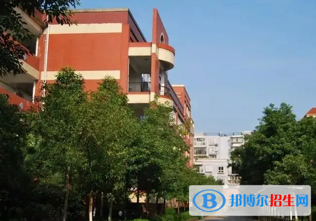 重庆史迪威外语学校高中部2023年入学考试2