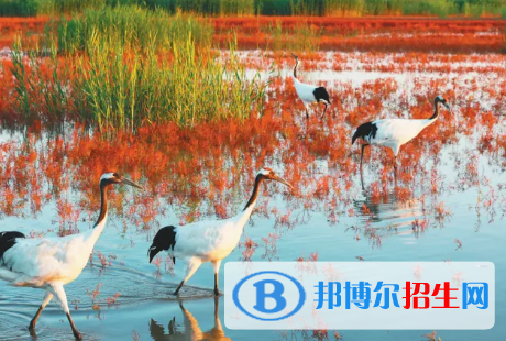 盘锦中考英语总分(满分)是多少(附盘锦中考成绩查询入口)