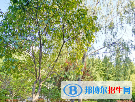 河南2023年好的专业卫校