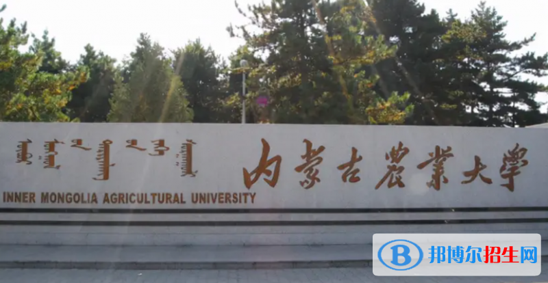 2023内蒙古理科385分左右能上什么好大学（本省大学+外省大学）