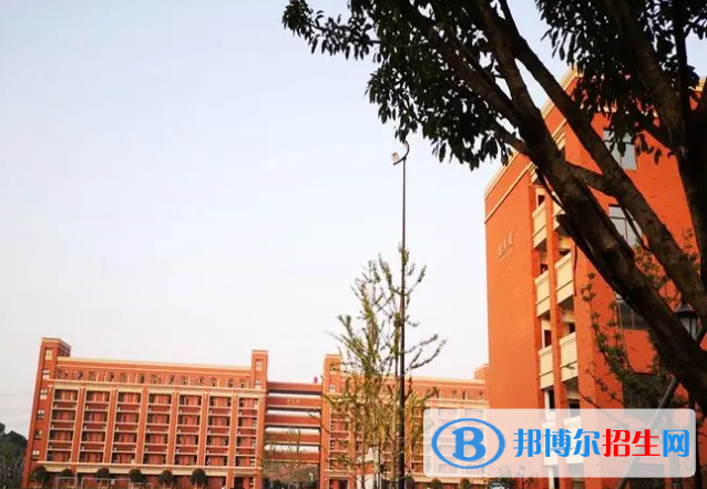 重庆史迪威外语学校初中部2023年招生政策2