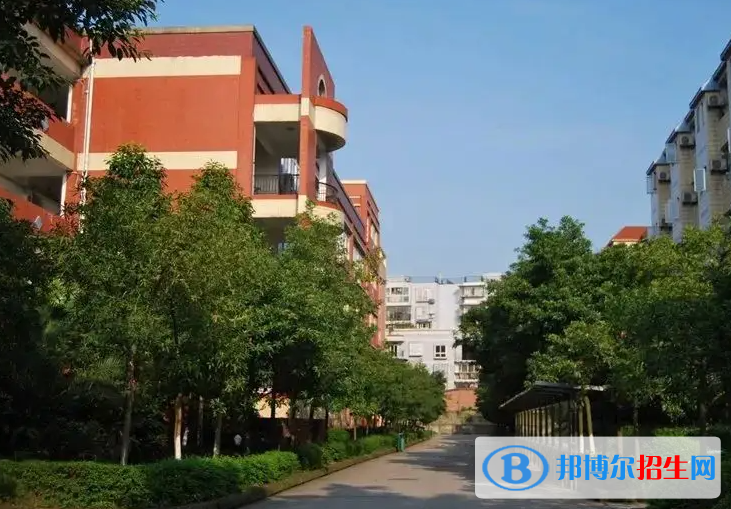重庆史迪威外语学校初中部2023年入学条件2