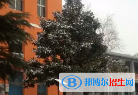 河南2023年去读卫校好吗